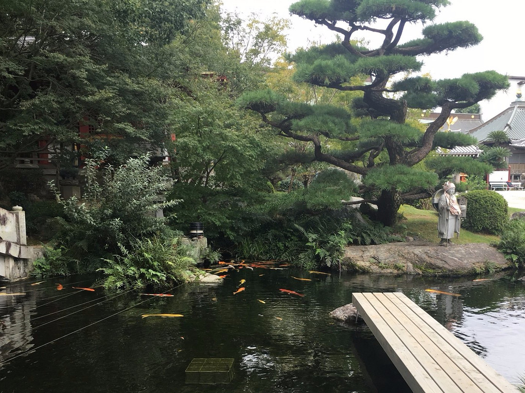 上板町旅游攻略图片