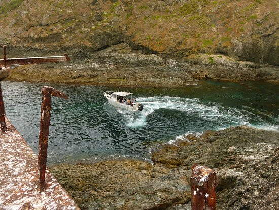 Bay of Islands Water Taxi景点图片