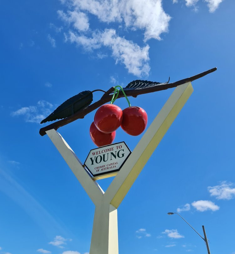 The Big Cherries-Young必去景点