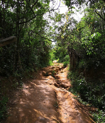 Praia do Gravatá-弗洛里亚诺波利斯必去景点