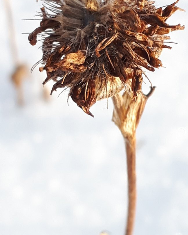 Whiteshell Provincial Park-Whiteshell Provincial Park必去景点