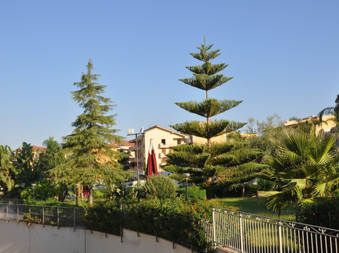 Grand Hotel Sofia主图