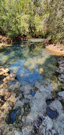 Cardwell Spa Pool-卡德威尔必去景点