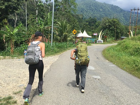 Ketambe Jungle Trekking With Alex景点图片