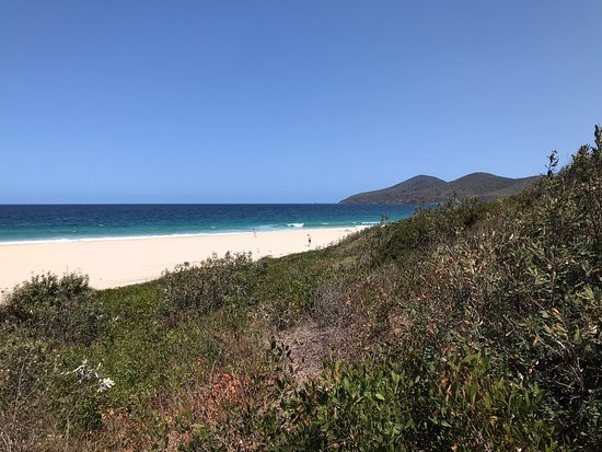 John Ward Rainforest Walk-福斯特必去景点