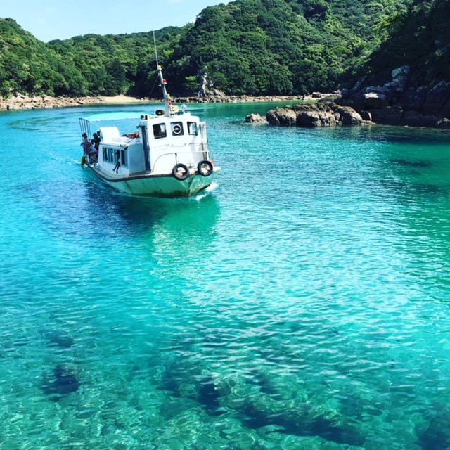 Tatsukushi Marine Sightseeing (Glass-bottomed Boat)-土佐清水市必去景点