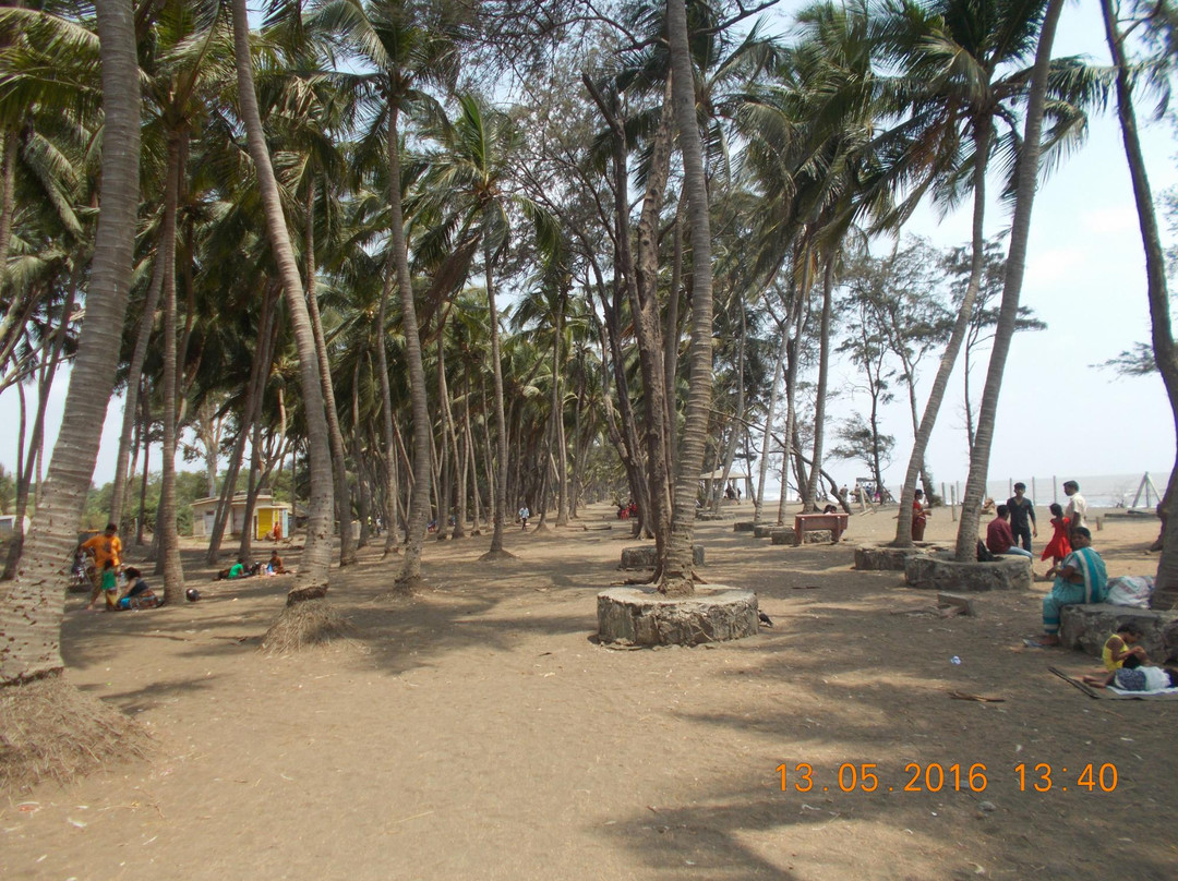 Arnala Beach景点图片