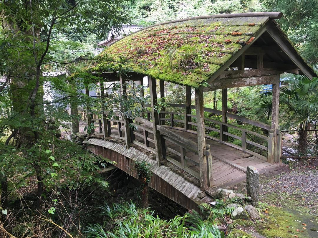 Yanetsuki Covered Bridge - Roman Yatsuhashi景点图片