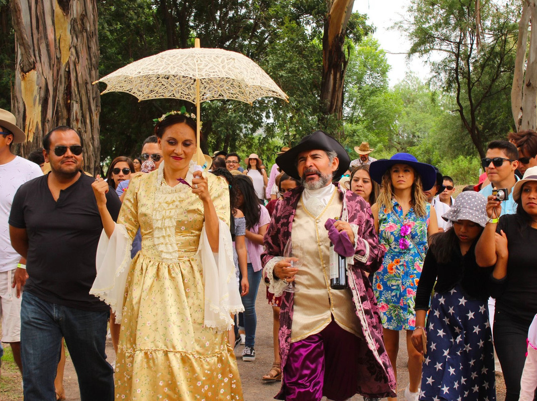 oh! Turismo景点图片