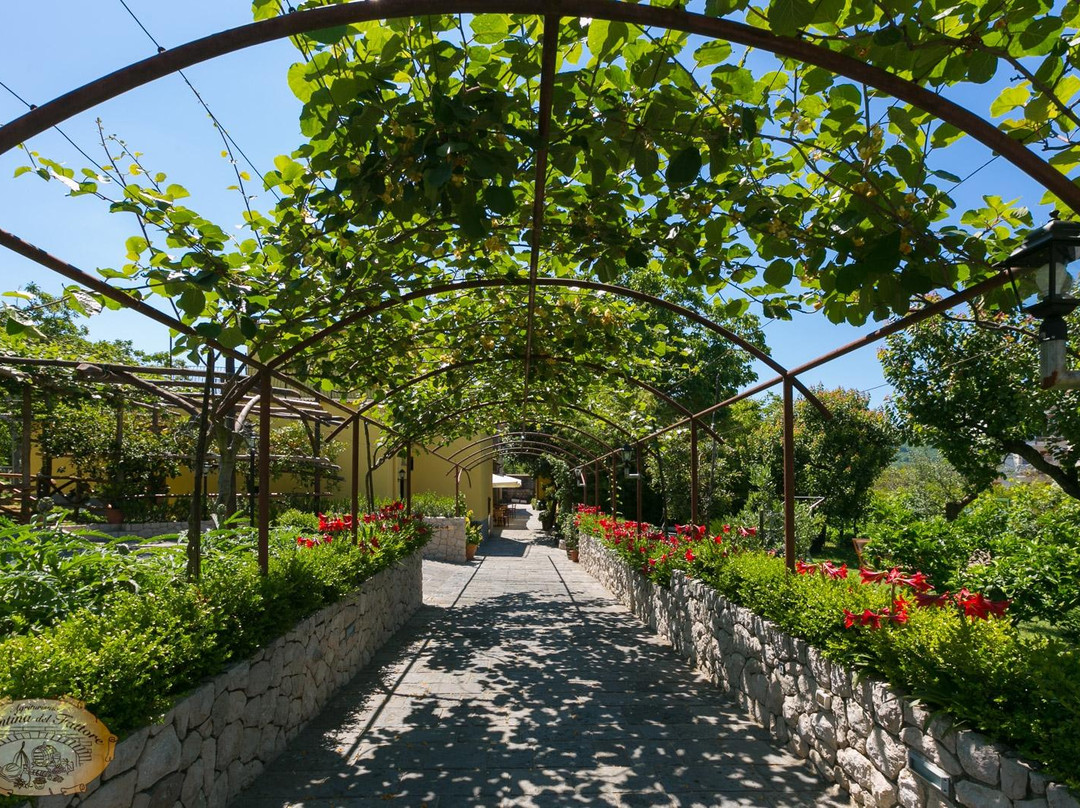 La Cantina del Fattore