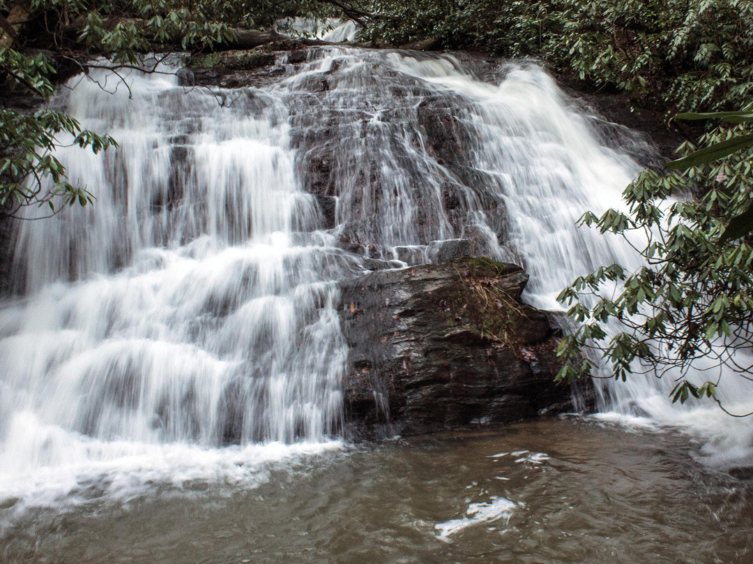 Smithgall Woods Conservation Area景点图片