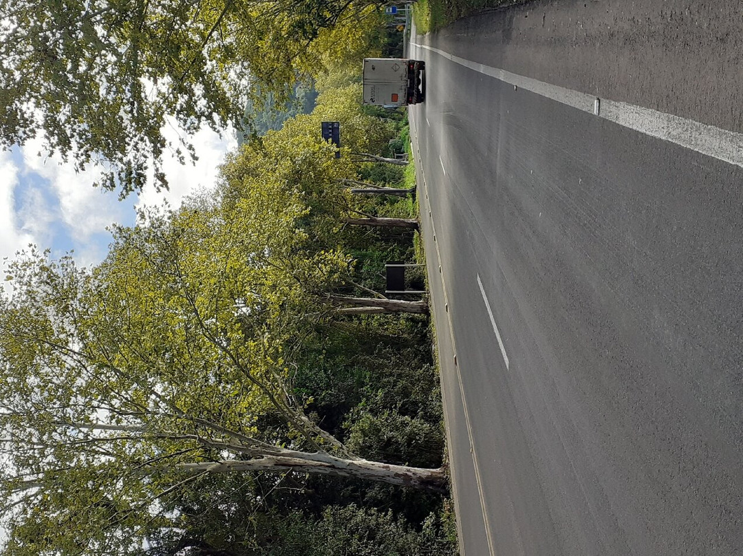 Túnel Verde Dois Irmãos