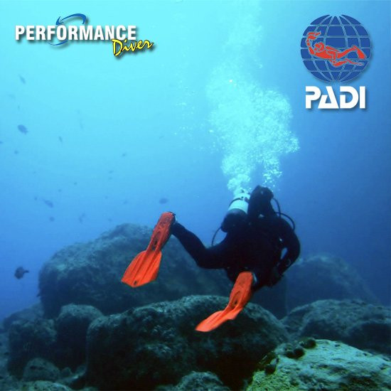 Performance Diver NZ景点图片
