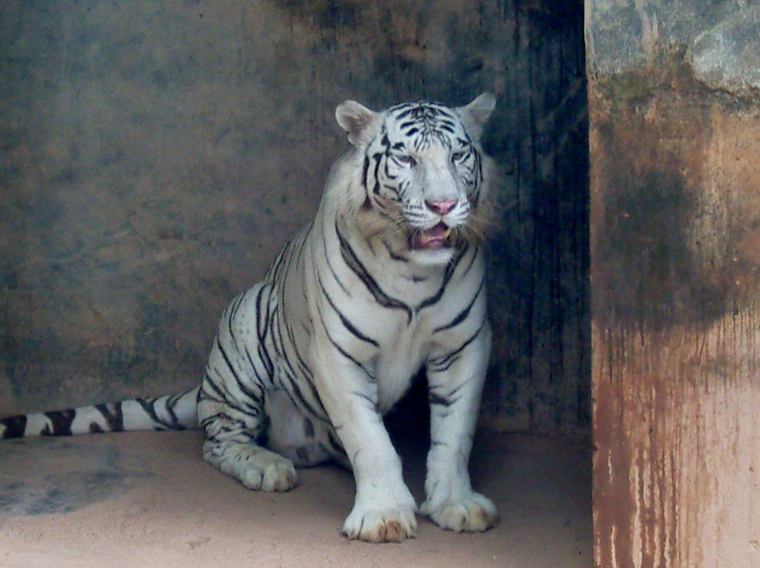 National Zoological Gardens of Sri Lanka景点图片