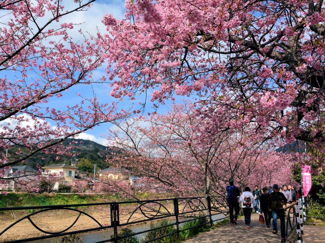 Hosen no Ashiyudokoro-河津町必去景点