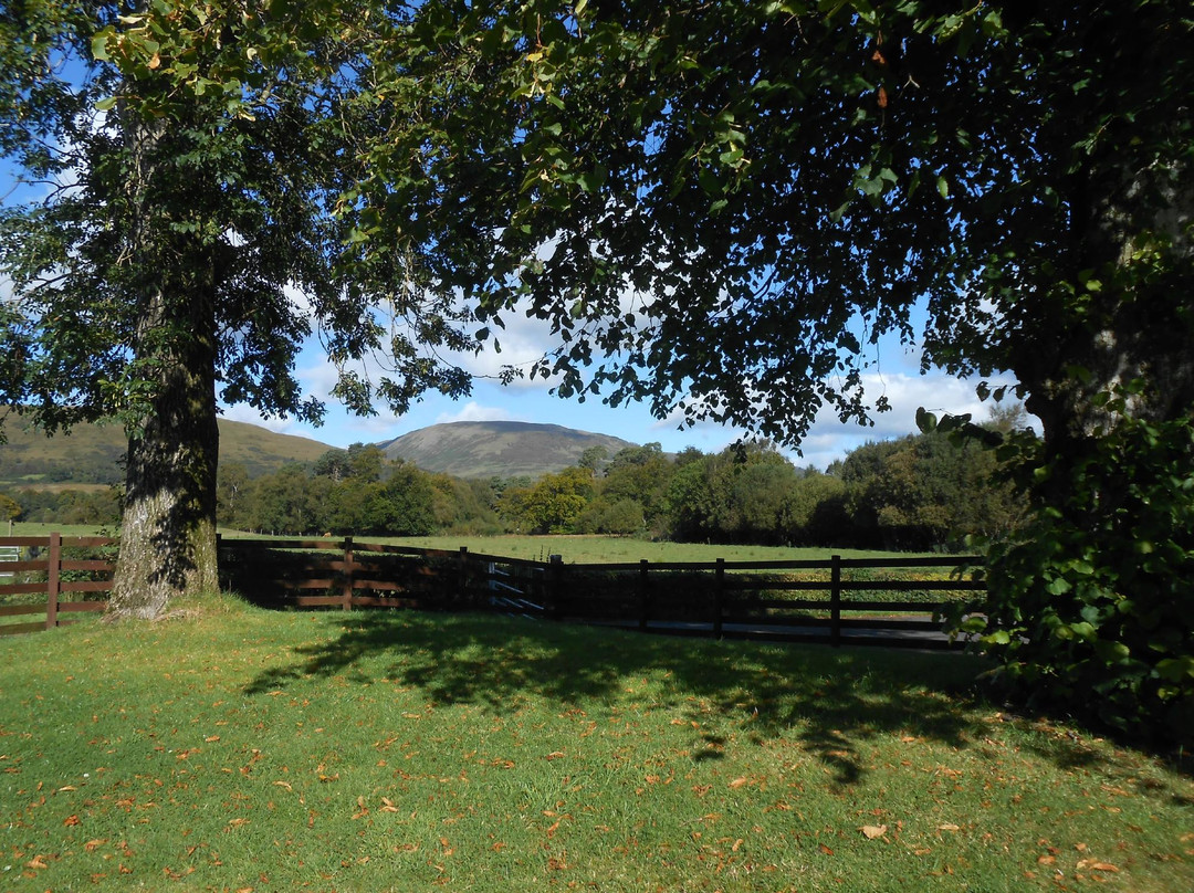 Auchentullich Farm Shop景点图片