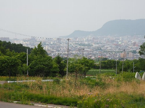Donan Shiki no Mori Park景点图片