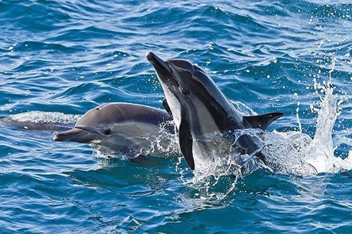 BSB TOUR-沙努尔必去景点