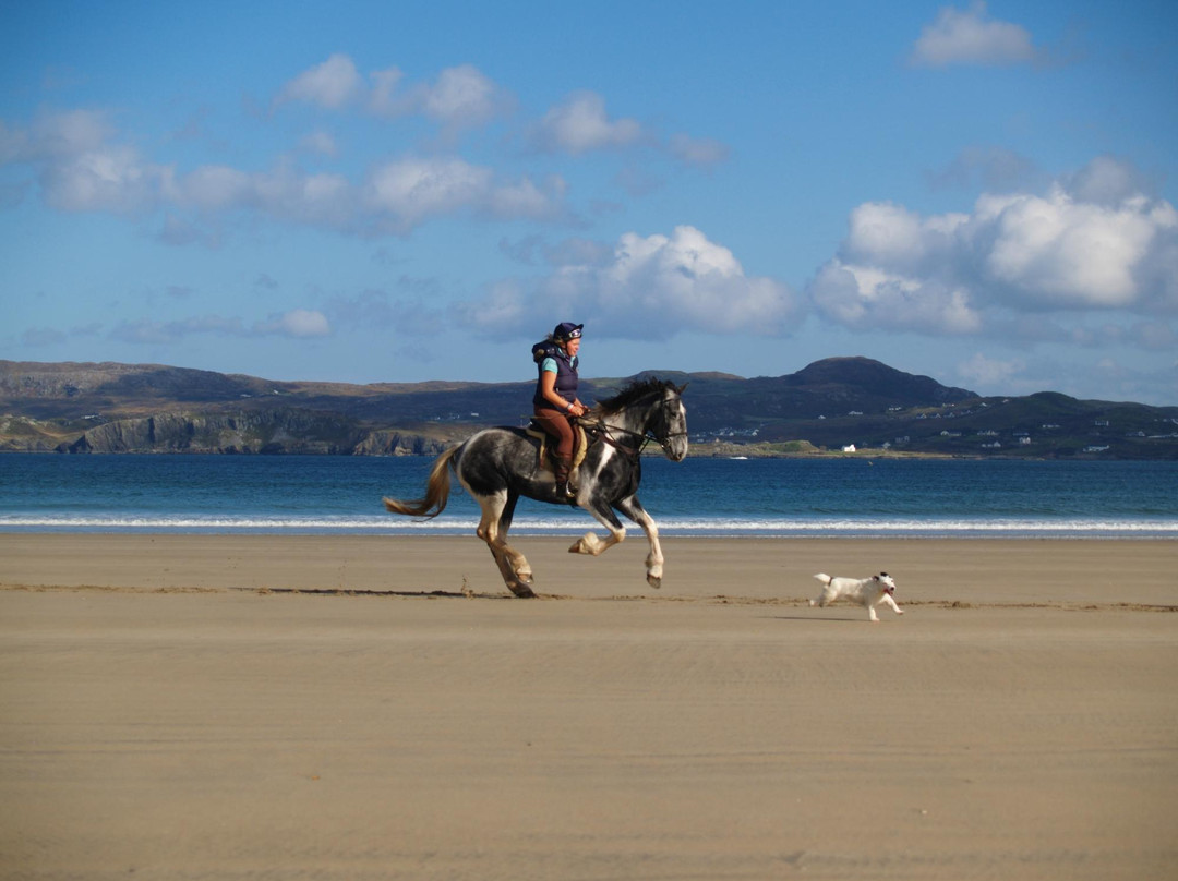 Dunfanaghy Stables-Dunfanaghy必去景点