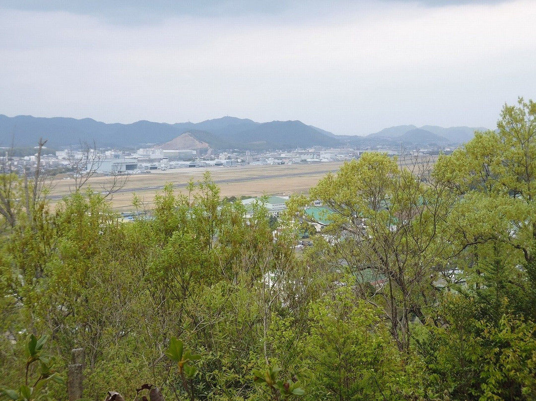 Mii Castle景点图片