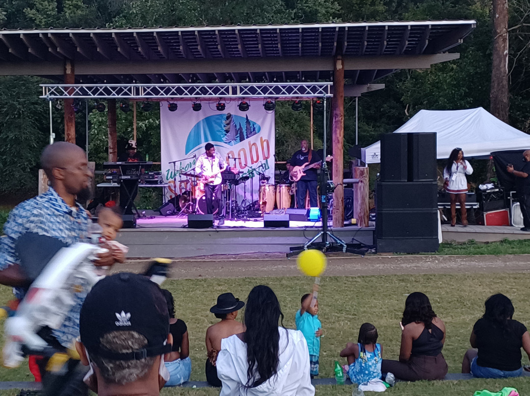 Welcome to South Cobb Festival