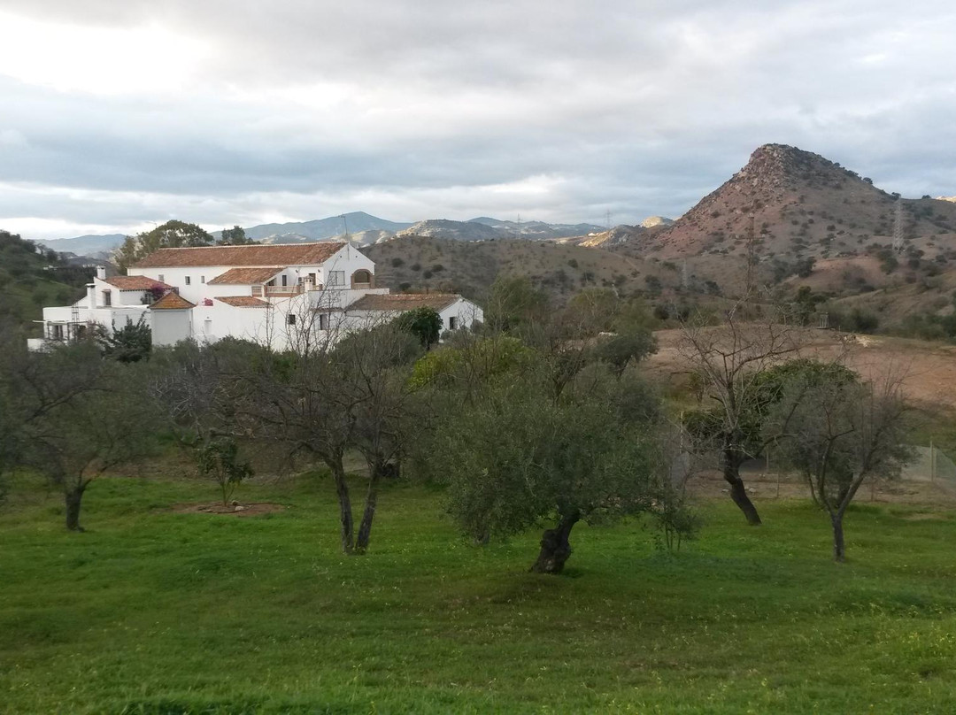 A Cooking Day-马拉加必去景点