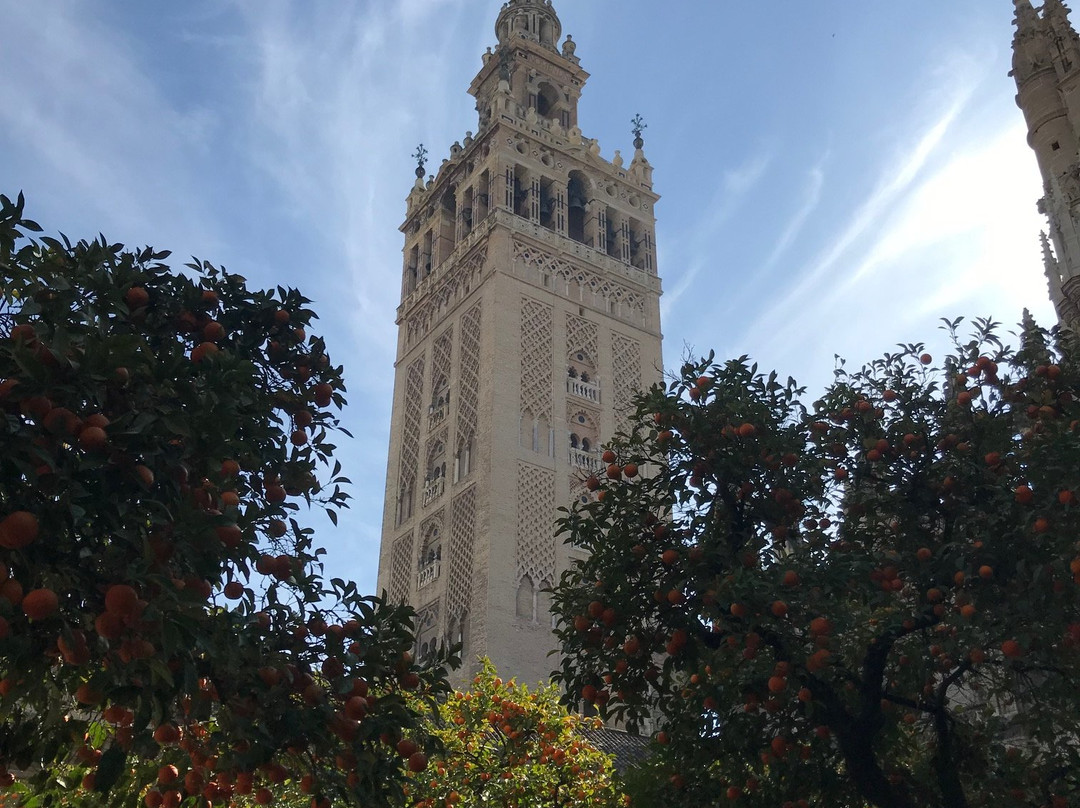 Giralda Mora-塞维利亚必去景点