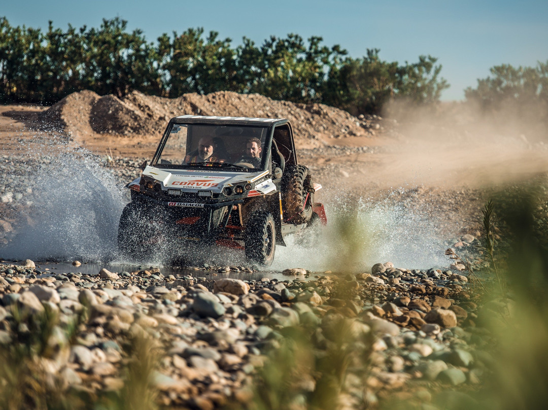 Monkeyland-阿米拉必去景点