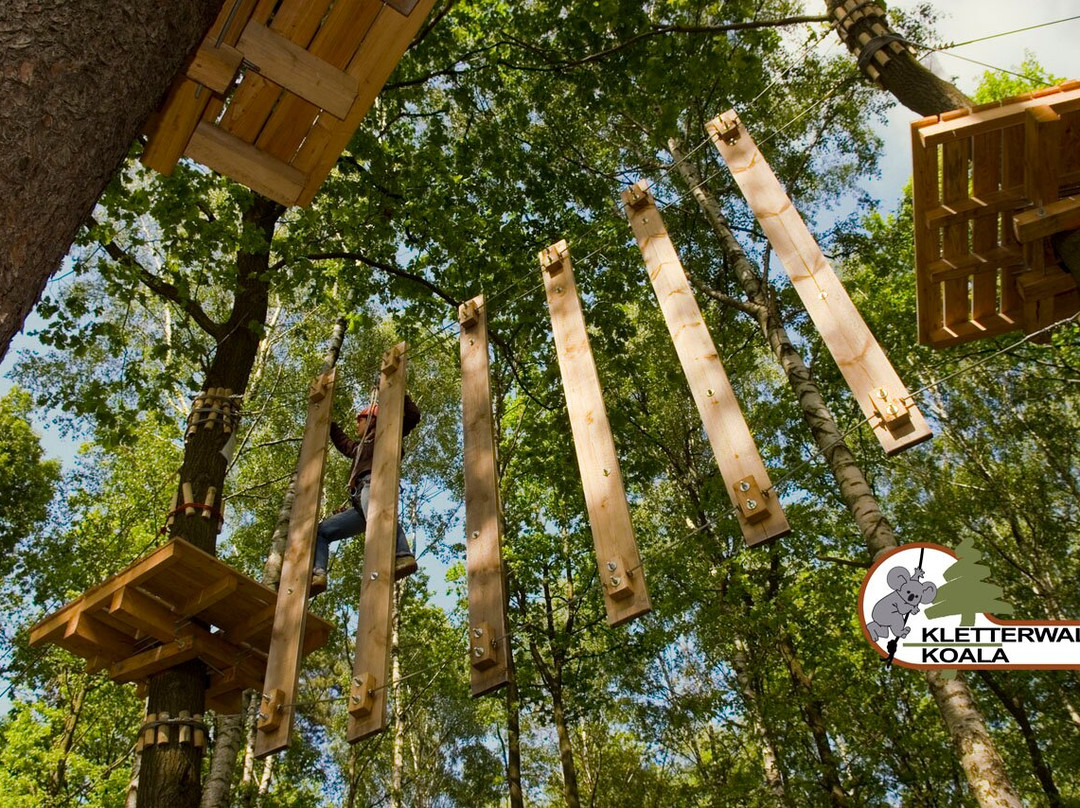 Kletterwald Koala-Munchenbernsdorf必去景点