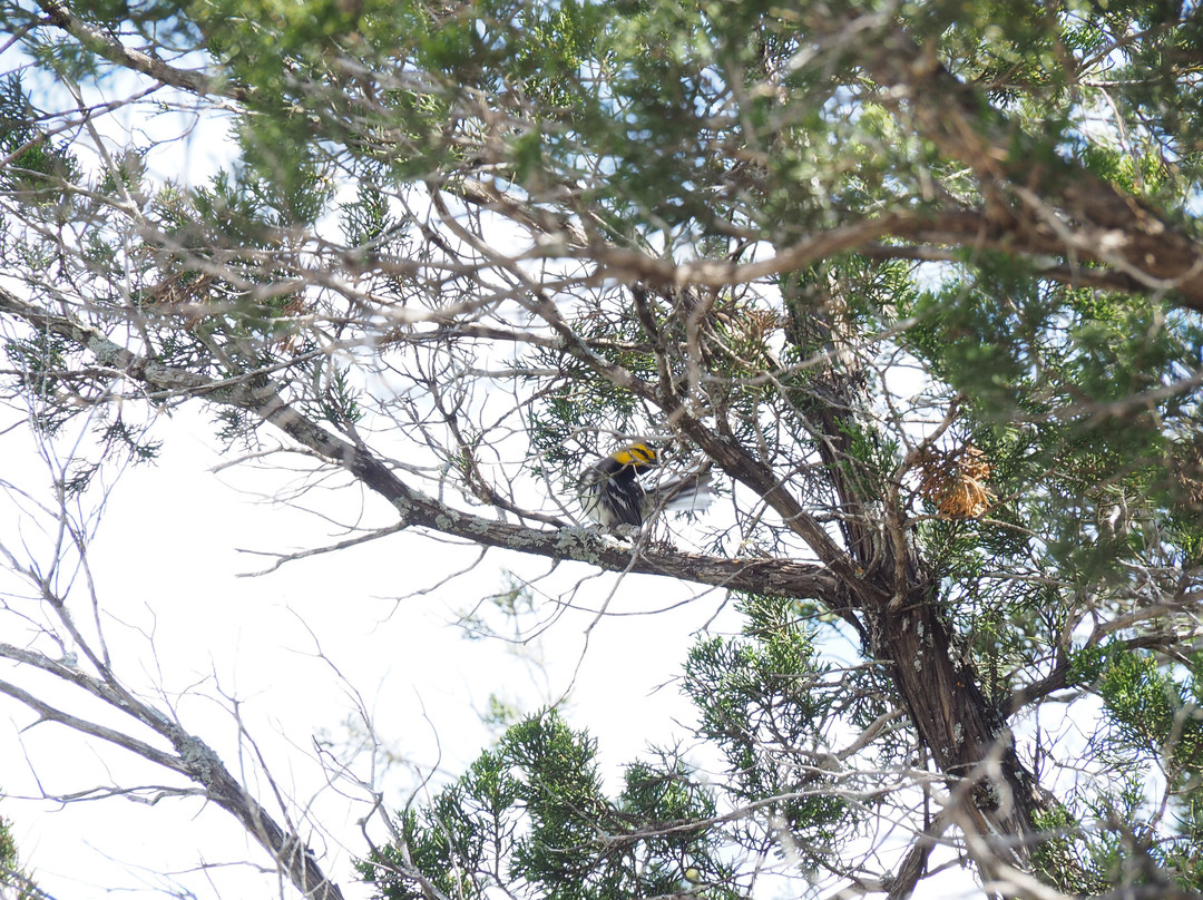 South Llano River State Park-Junction必去景点