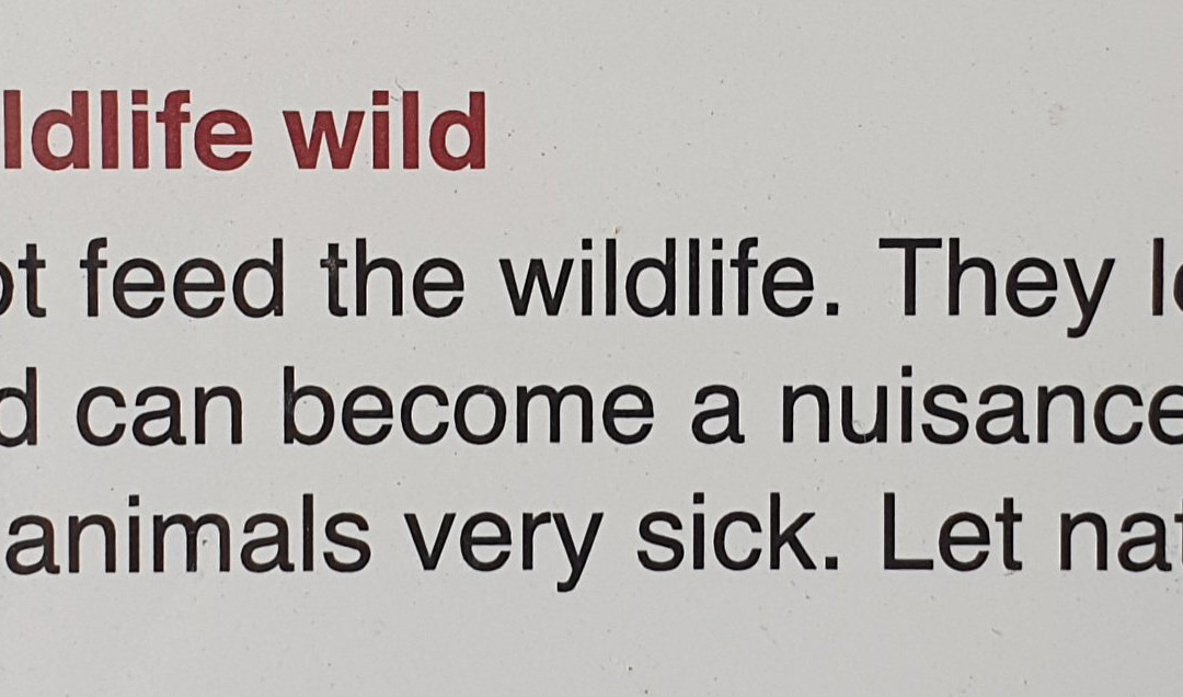 Lake Kepwari-Collie必去景点