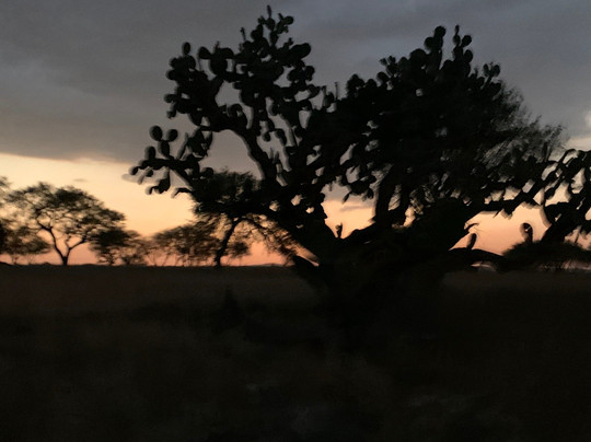 Cabalgando En Tequis-Tequisquiapan必去景点