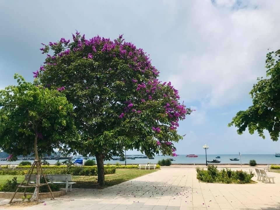 Co To Island-Dao Co To必去景点
