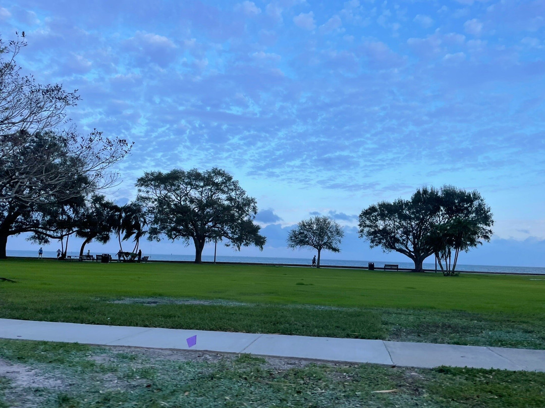 North Straub Park-圣彼德斯堡必去景点