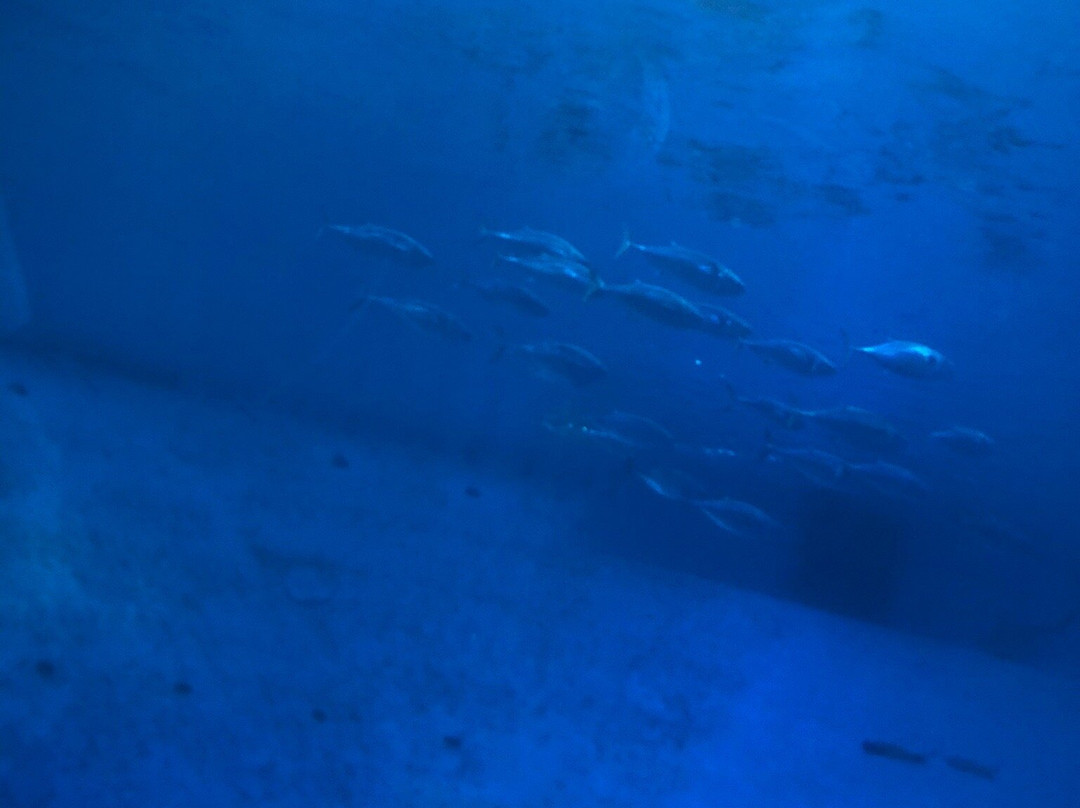 Phillip And Patricia Frost Museum Of Science-迈阿密必去景点