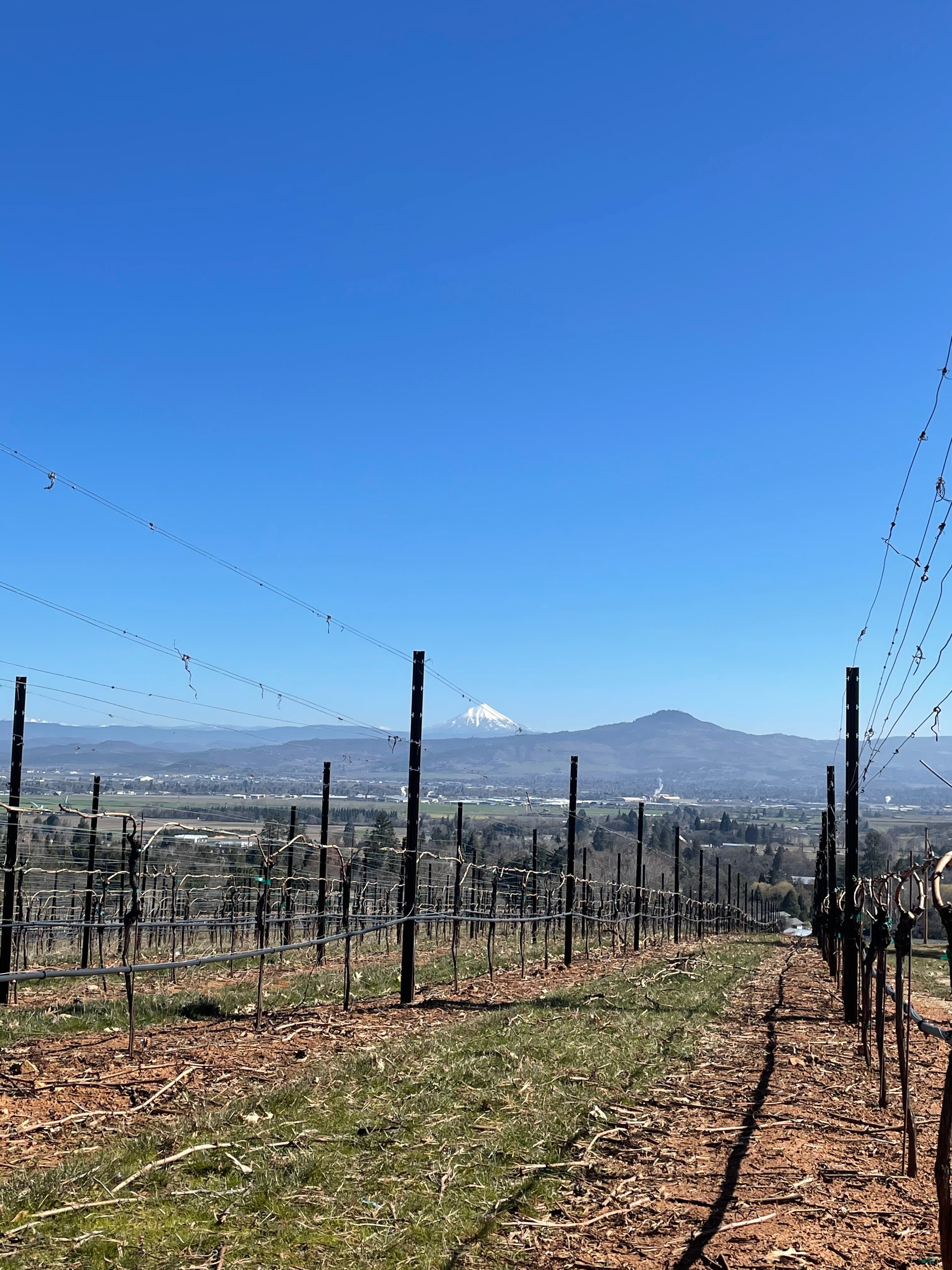 Hummingbird Estate-浴室