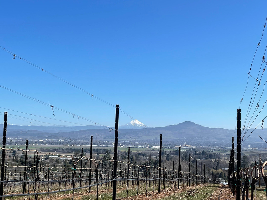 Hummingbird Estate主图