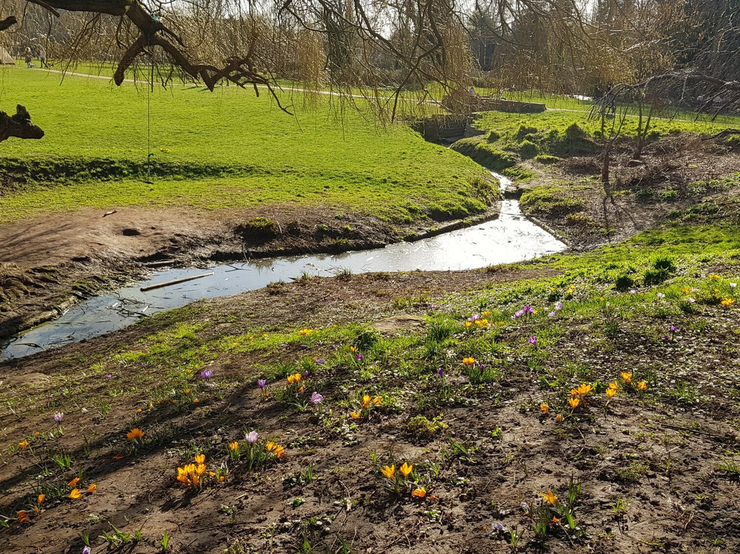 Fishponds Park景点图片