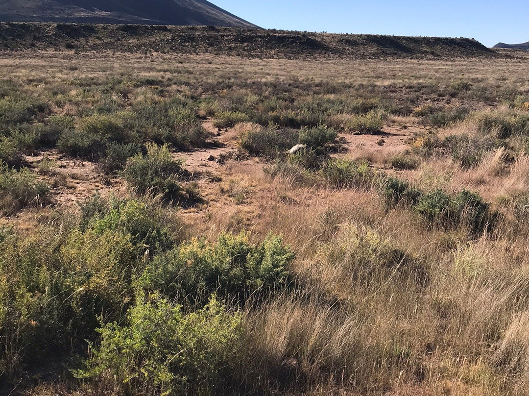 Elandsrus Country Lodge主图