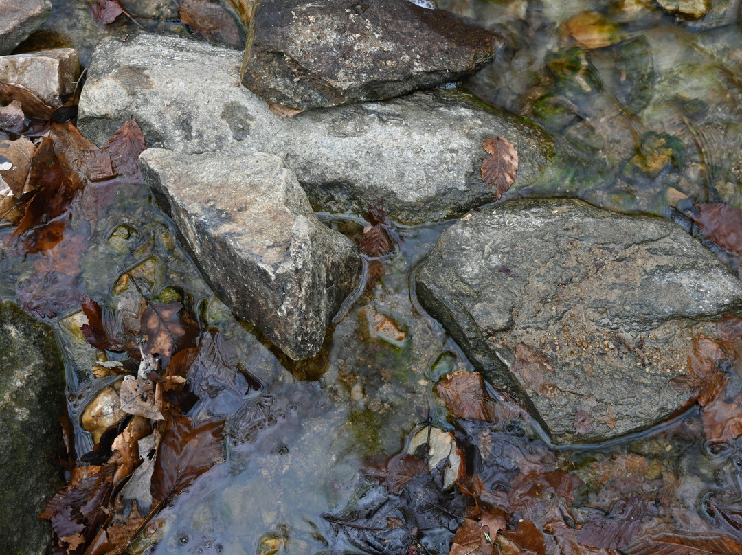 Bull Run - Occoquan Trail景点图片