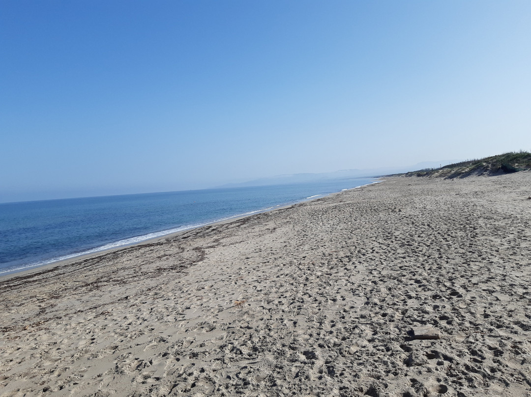 Spiaggia di Platamona-Platamona必去景点
