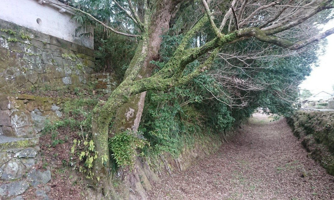 Obijyo Castle Ruins-日南市必去景点