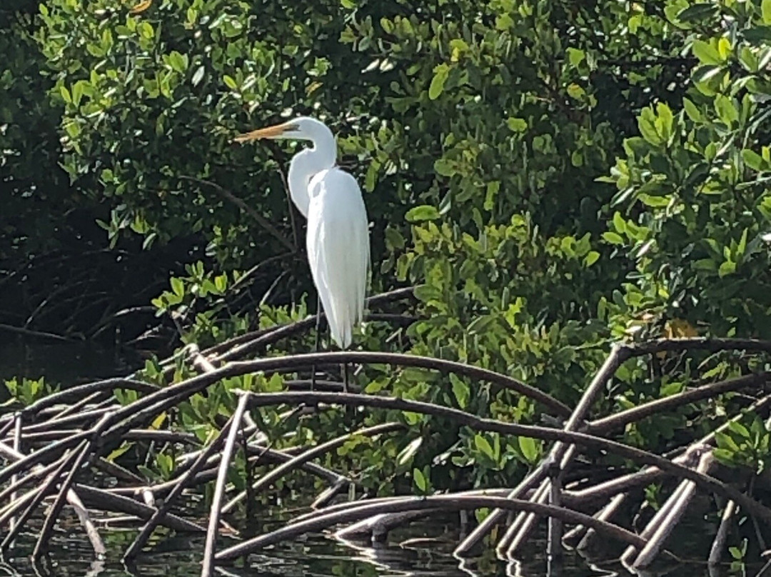 Finseeker Guided Adventures-那不勒斯必去景点