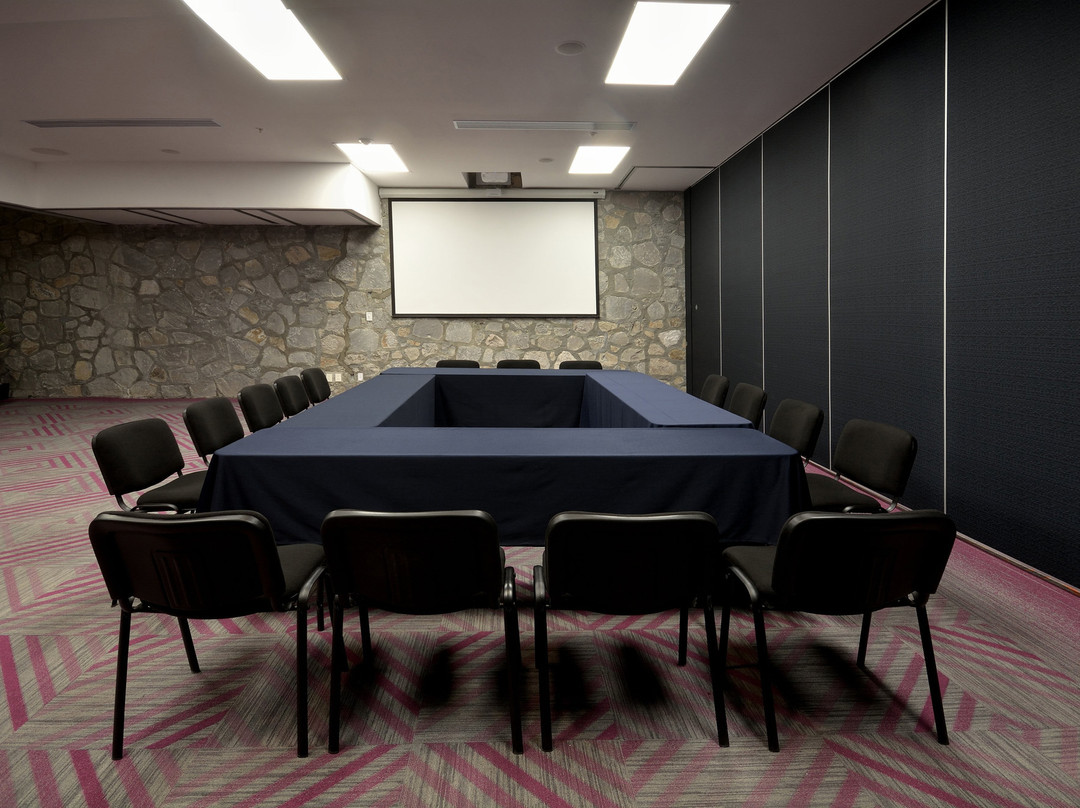 Holiday Inn Express Pachuca by IHG主图