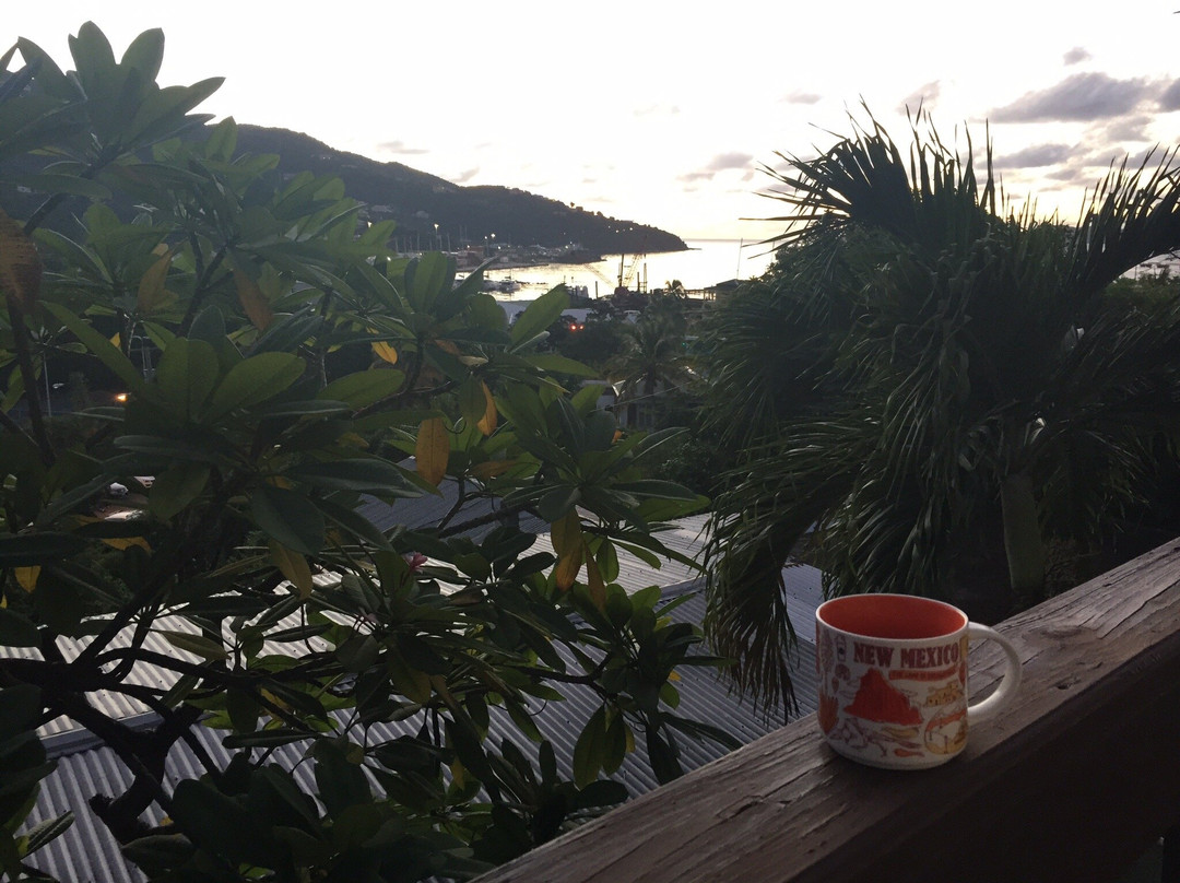 Hummingbird House主图