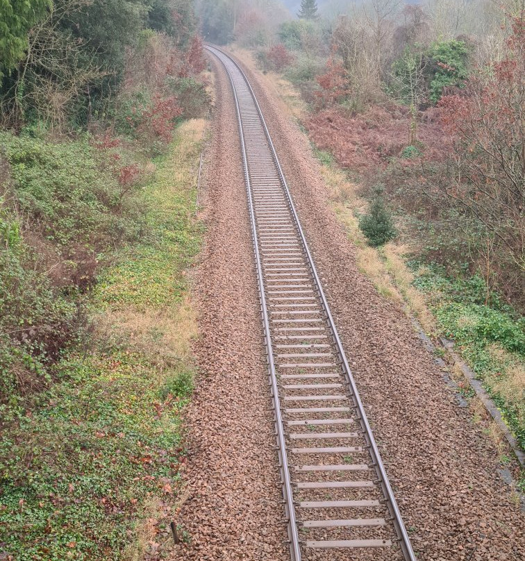 Bennett's Patch and White's Paddock-布里斯托尔必去景点