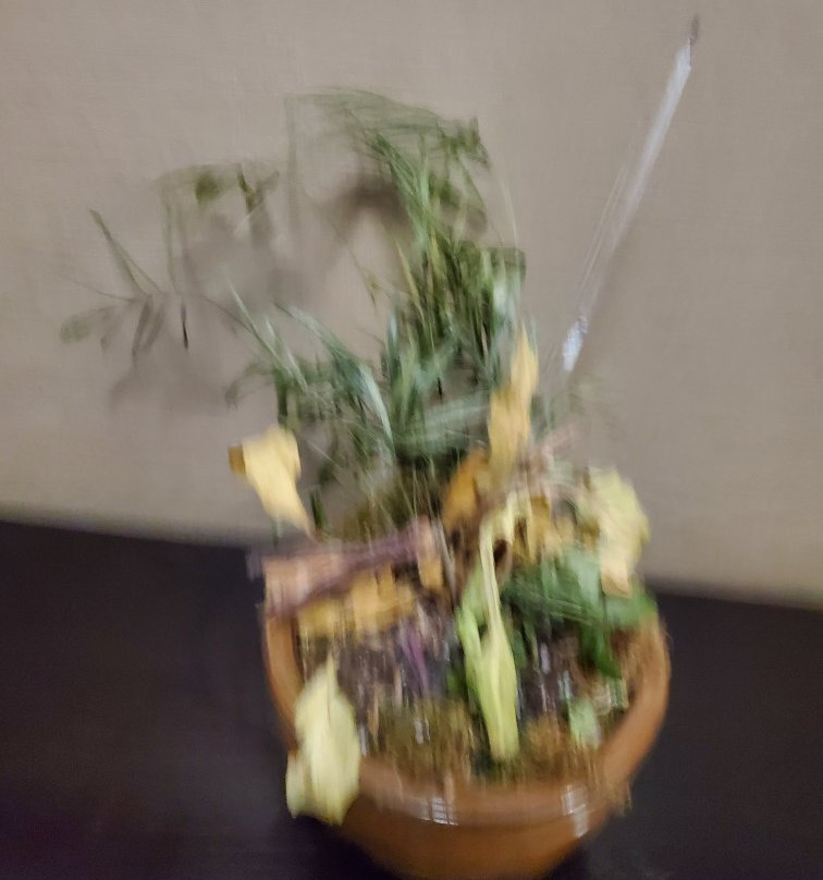 Holiday Inn Express & Suites Natchez South By IHG主图