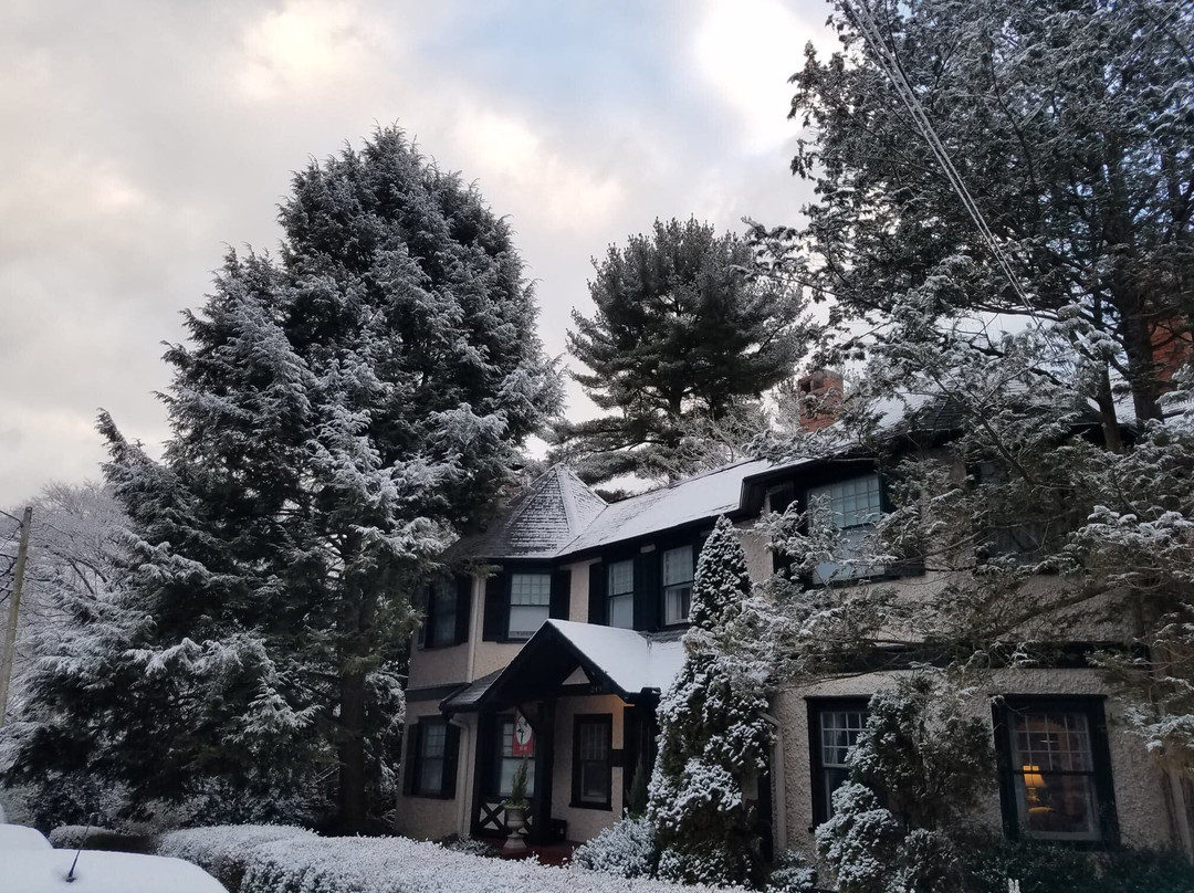 Pinecrest Bed & Breakfast主图