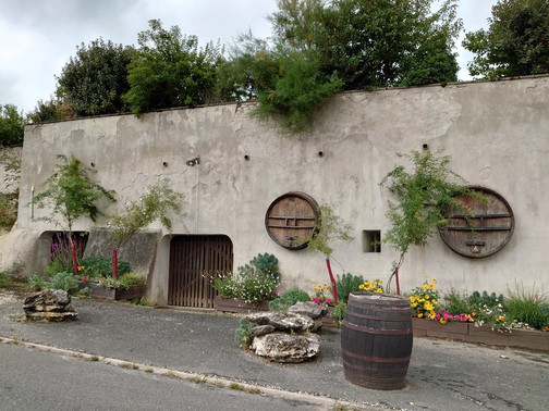 Vino Loire Wine Tours-图尔必去景点