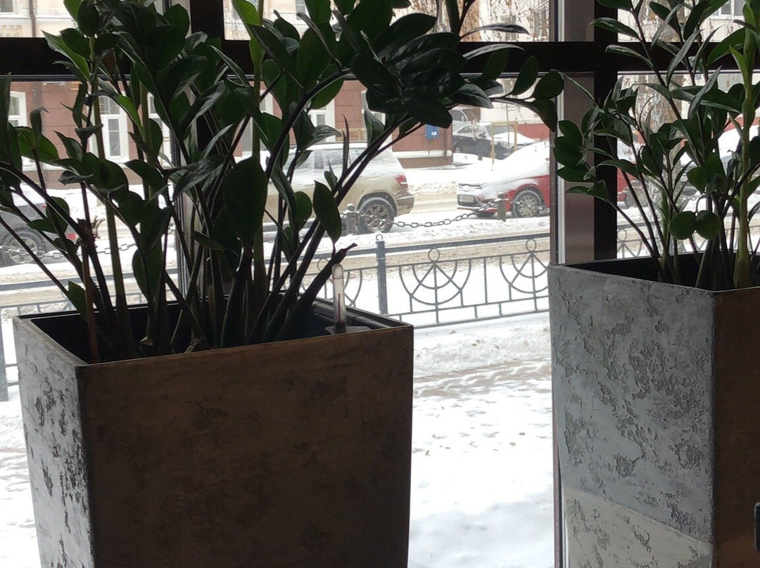 Continental Business-Hotel主图